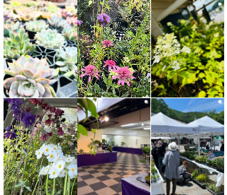 八ヶ岳 ボタニカルラボ