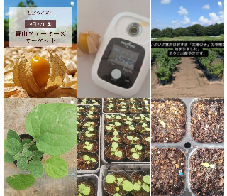 バディアス農園