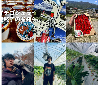 高原のエコーズ