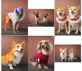 出前写真館 福ちゃん