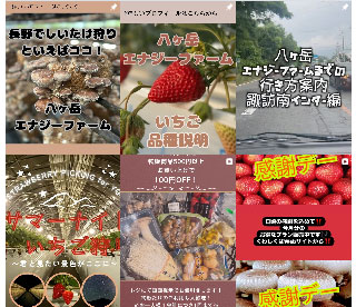 八ヶ岳エナジーファーム