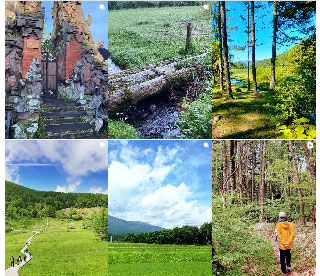 富士見高原ハイジ・ロッジ